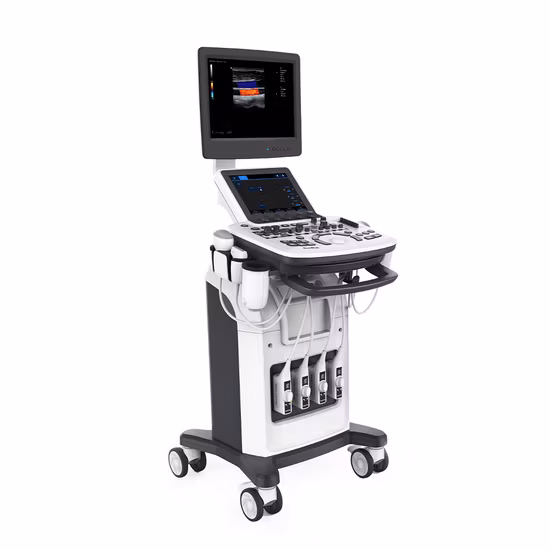 Full Digital Portable 3D 4D Color Doppler Abdominal Ultrasound System