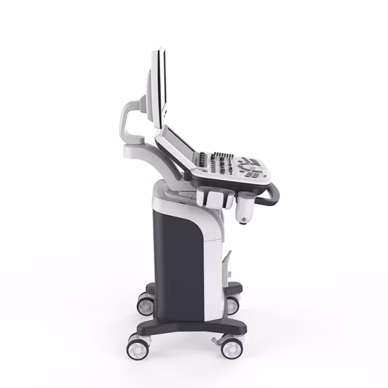 Full Digital Portable 3D 4D Color Doppler Abdominal Ultrasound System